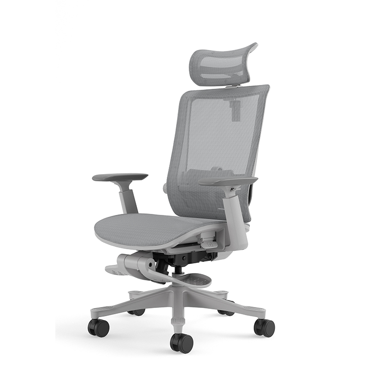 Contemporary Design Office Ergonomic Chair Free Delivery Convenient and Comfortable